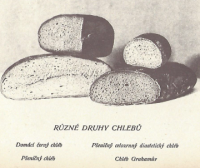 Domácí lékař 1902: Chléb